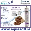 Pentair® Everpure 4CB5-S filter | EV9617-21